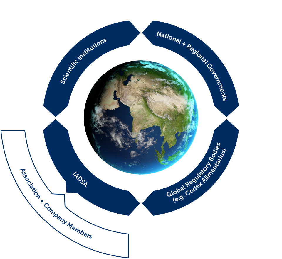 Structure of IADSA